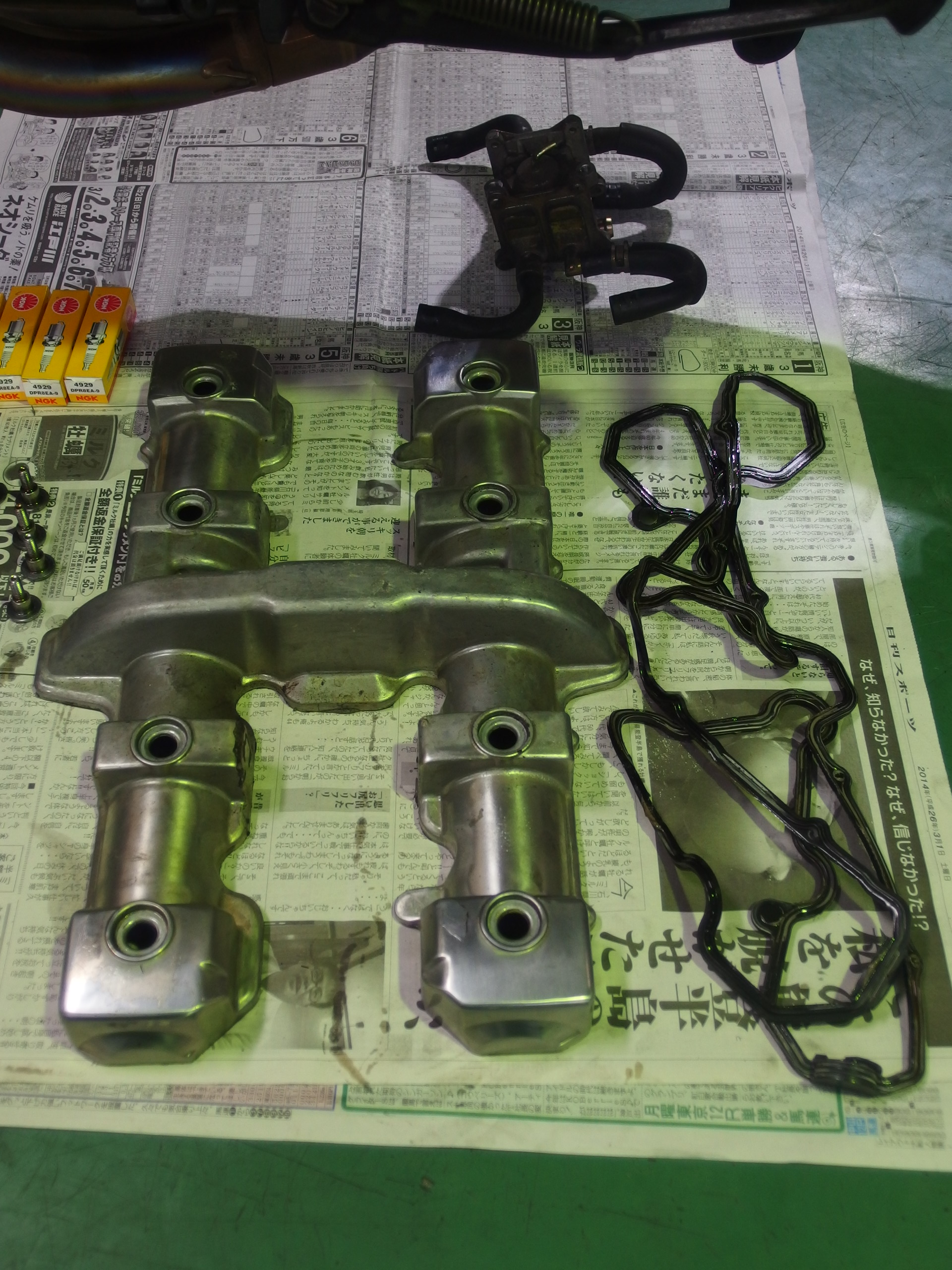 OLYMPUS DIGITAL CAMERA