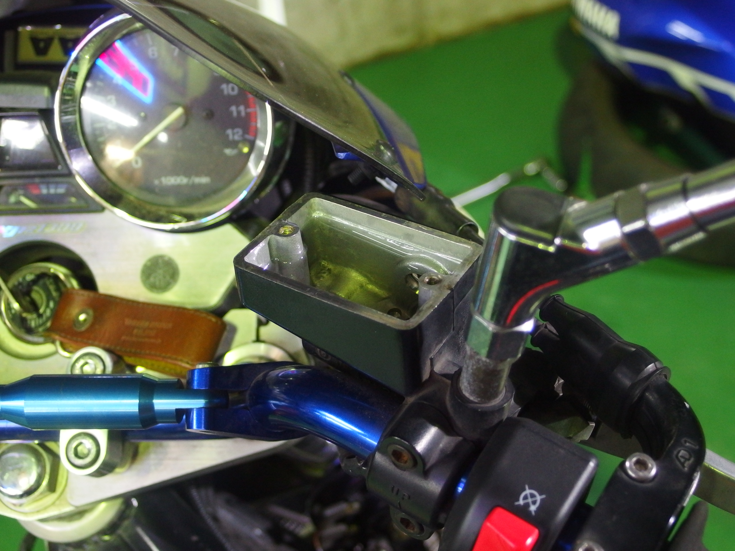 OLYMPUS DIGITAL CAMERA